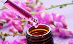 Sua Casa com Aroma das Grandes Marcas – La Belle Scens Sua Casa com Aroma das Grandes Marcas – La Belle Scens