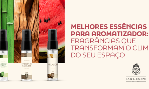 Melhores Essências para Aromatizador: Fragrâncias que Transformam o Clima do Seu Espaço Melhores Essências para Aromatizador: Fragrâncias que Transformam o Clima do Seu Espaço